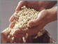 poultry feed mill
