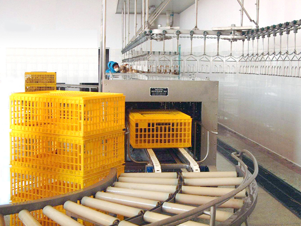 Poultry cage conveyor