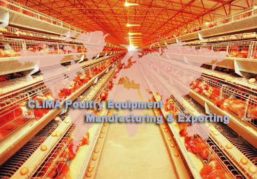 poultry cage