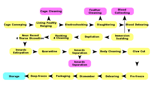 Poultry Slaughter line flowchart